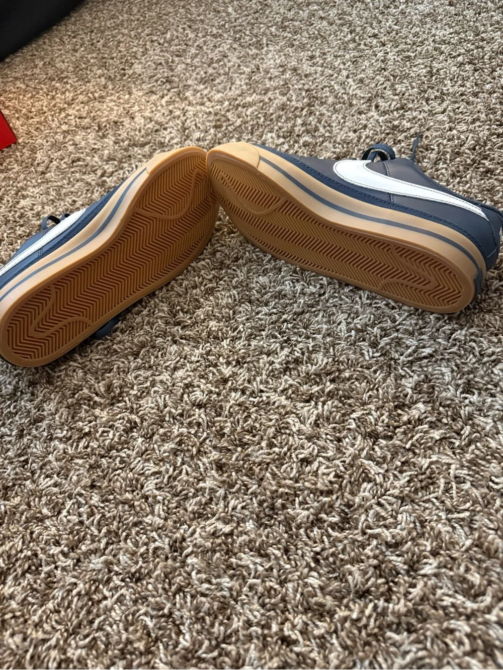 Nike low profile